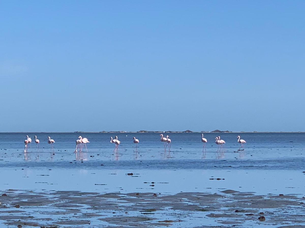 مبيت وإفطار حومة السوق Dar Lola Djerba المظهر الخارجي الصورة