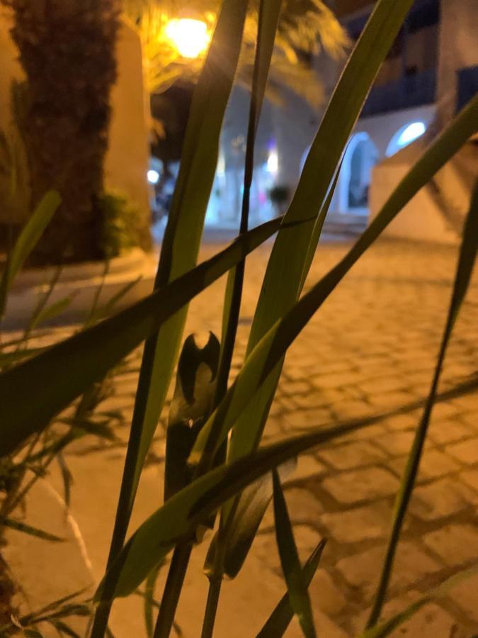 مبيت وإفطار حومة السوق Dar Lola Djerba المظهر الخارجي الصورة
