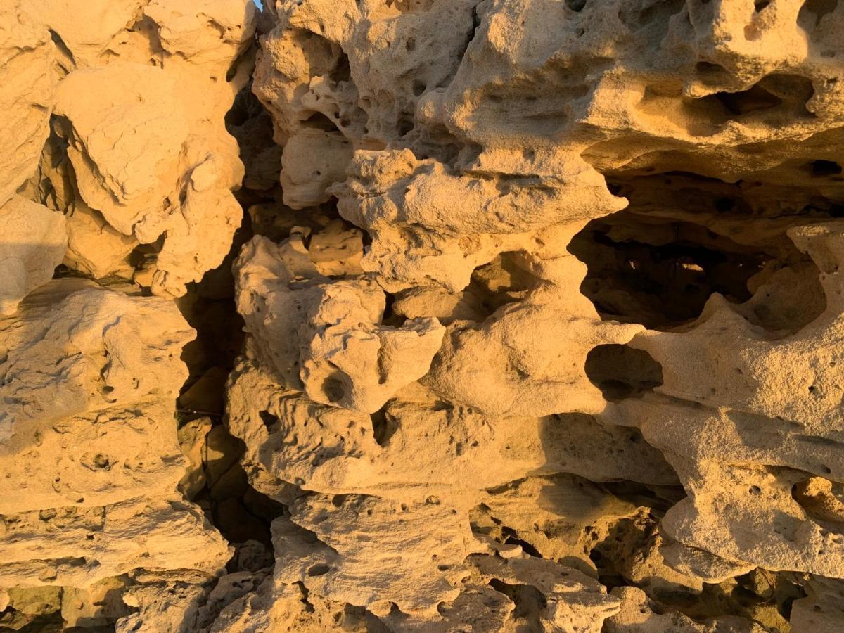 مبيت وإفطار حومة السوق Dar Lola Djerba المظهر الخارجي الصورة