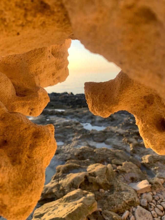 مبيت وإفطار حومة السوق Dar Lola Djerba المظهر الخارجي الصورة