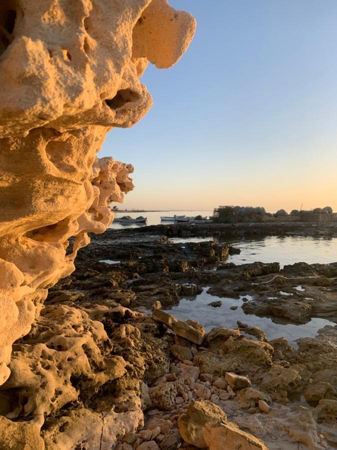 مبيت وإفطار حومة السوق Dar Lola Djerba المظهر الخارجي الصورة