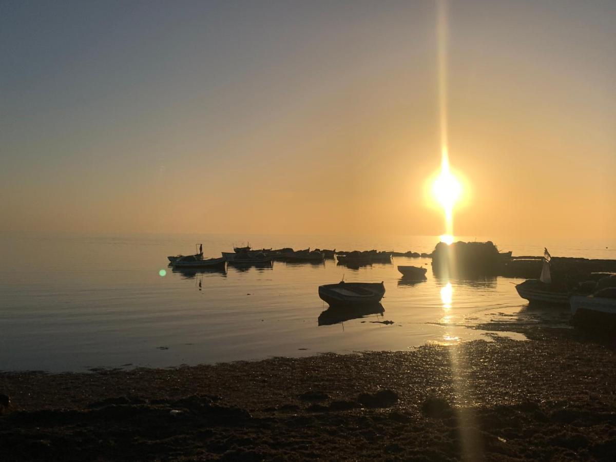 مبيت وإفطار حومة السوق Dar Lola Djerba المظهر الخارجي الصورة